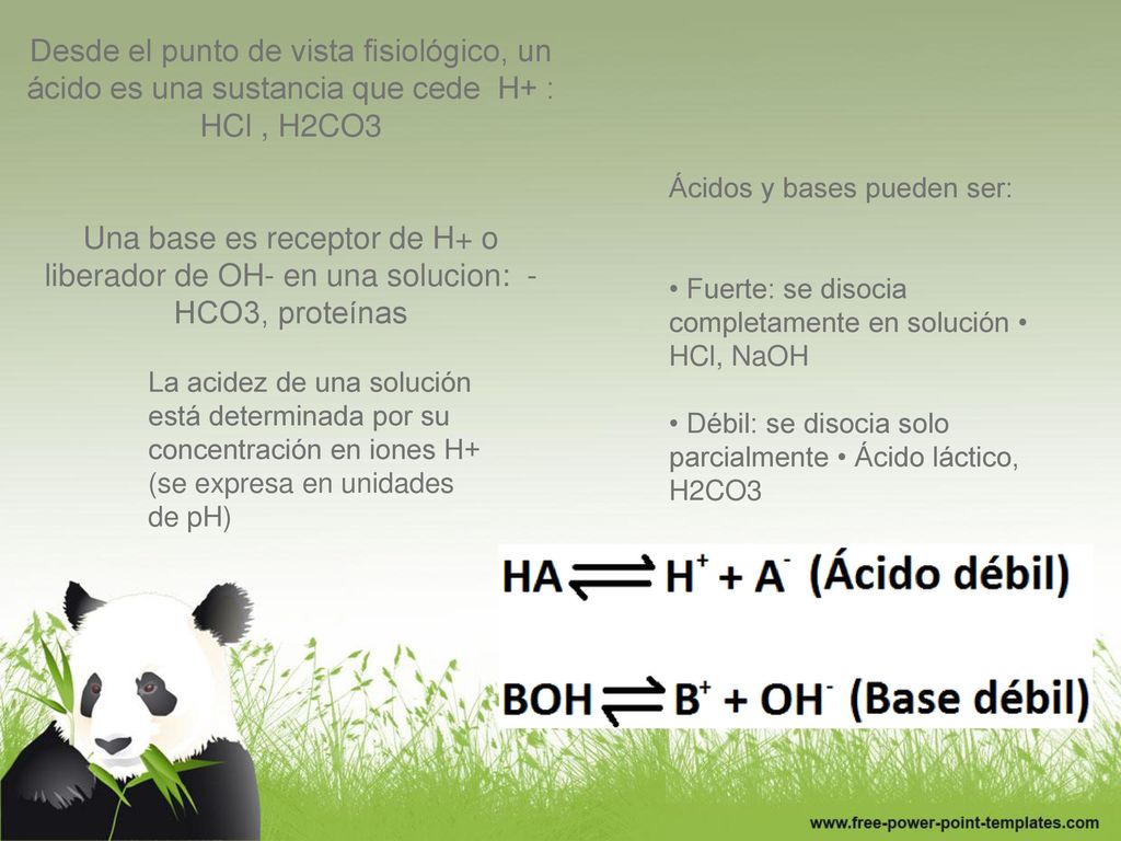 Desde el punto de vista fisiológico, un ácido es una sustancia que cede H+ : HCl , H2CO3 Una base es receptor de H+ o liberador de OH- en una solucion: -HCO3, proteínas