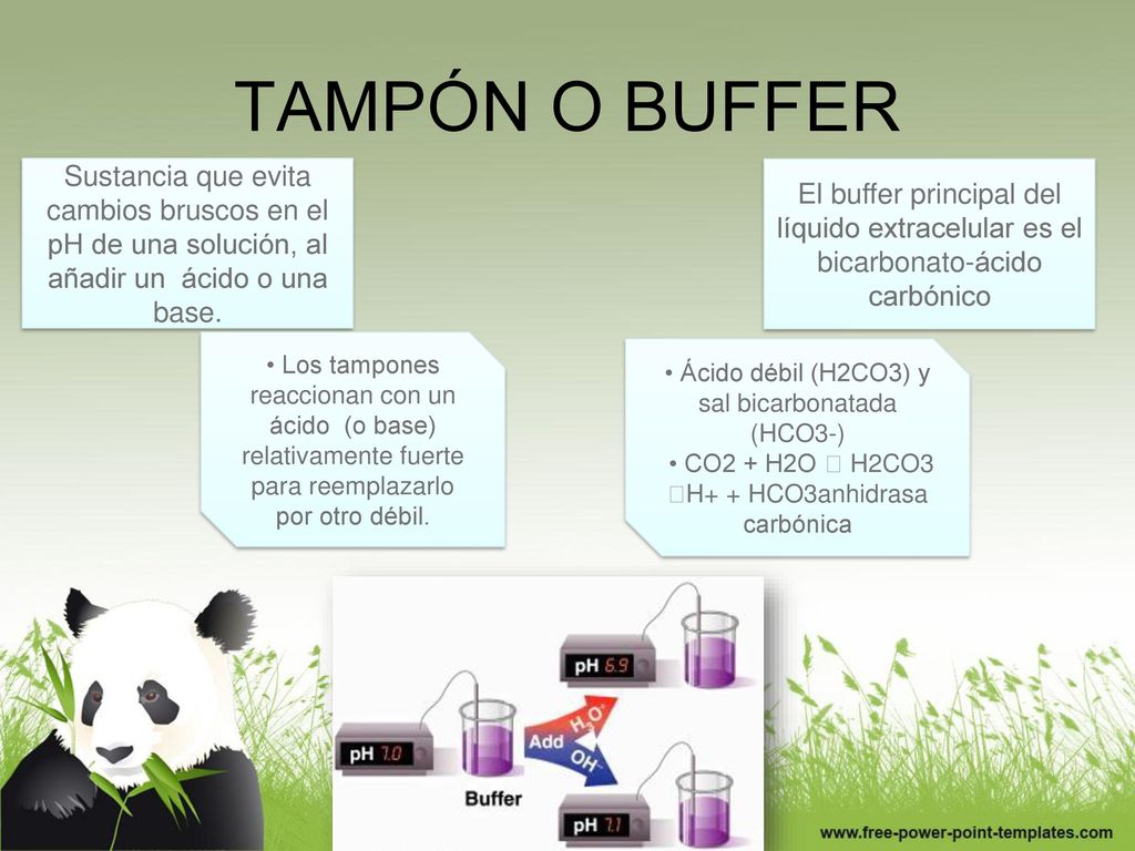 TAMPÓN O BUFFER Sustancia que evita cambios bruscos en el pH de una solución, al añadir un ácido o una base.