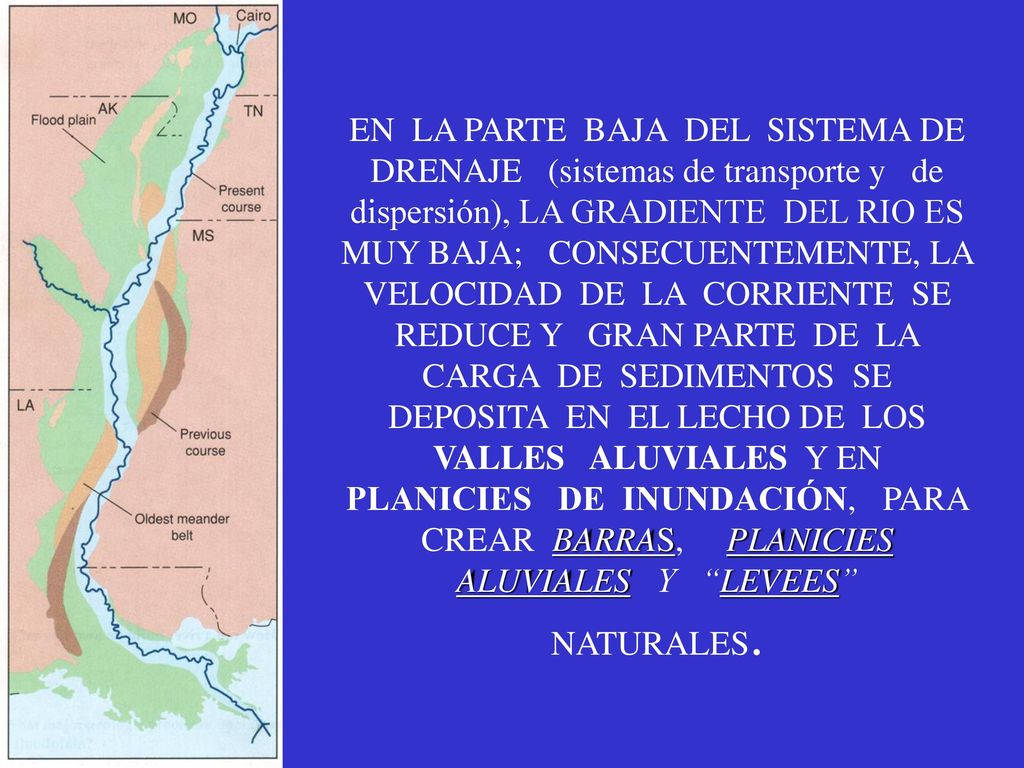 EN LA PARTE BAJA DEL SISTEMA DE DRENAJE (sistemas de transporte y de dispersión), LA GRADIENTE DEL RIO ES MUY BAJA; CONSECUENTEMENTE, LA VELOCIDAD DE LA CORRIENTE SE REDUCE Y GRAN PARTE DE LA CARGA DE SEDIMENTOS SE DEPOSITA EN EL LECHO DE LOS VALLES ALUVIALES Y EN PLANICIES DE INUNDACIÓN, PARA CREAR BARRAS, PLANICIES ALUVIALES Y LEVEES NATURALES.