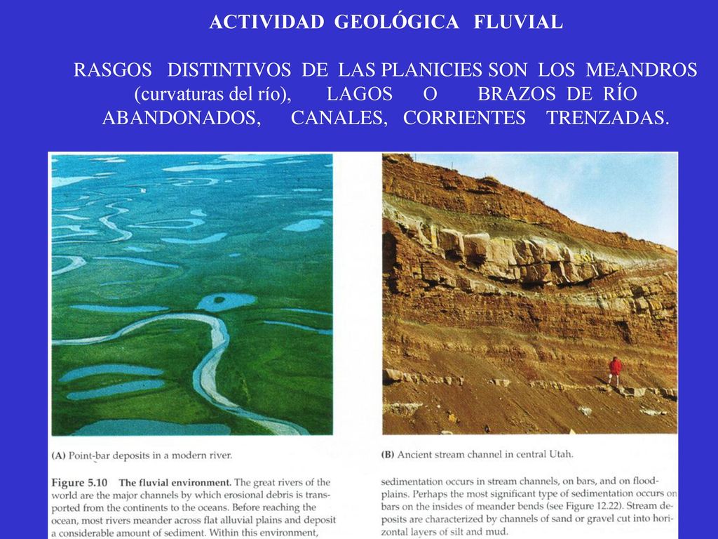 ACTIVIDAD GEOLÓGICA FLUVIAL RASGOS DISTINTIVOS DE LAS PLANICIES SON LOS MEANDROS (curvaturas del río), LAGOS O BRAZOS DE RÍO ABANDONADOS, CANALES, CORRIENTES TRENZADAS.