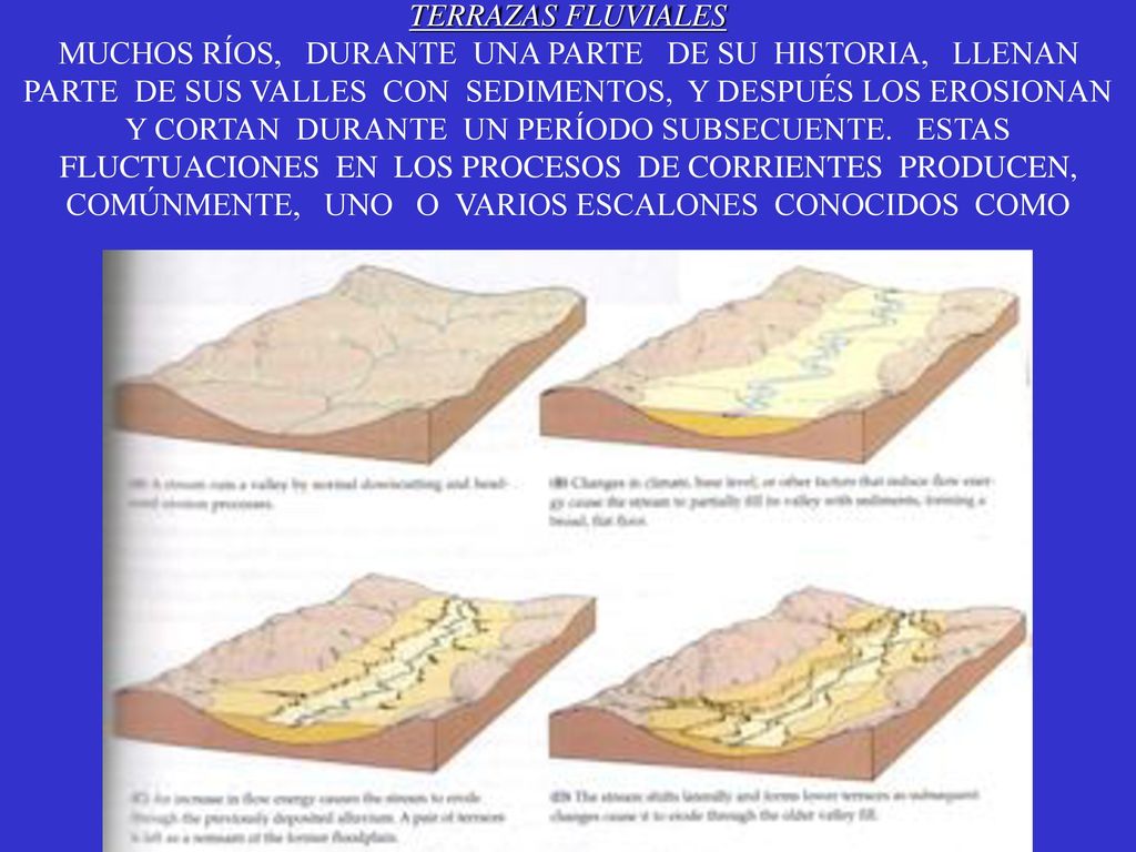 TERRAZAS FLUVIALES MUCHOS RÍOS, DURANTE UNA PARTE DE SU HISTORIA, LLENAN PARTE DE SUS VALLES CON SEDIMENTOS, Y DESPUÉS LOS EROSIONAN Y CORTAN DURANTE UN PERÍODO SUBSECUENTE.