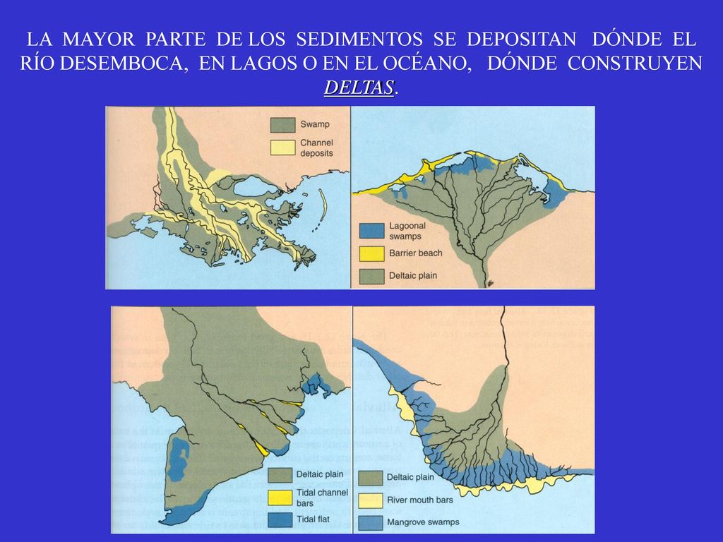 LA MAYOR PARTE DE LOS SEDIMENTOS SE DEPOSITAN DÓNDE EL RÍO DESEMBOCA, EN LAGOS O EN EL OCÉANO, DÓNDE CONSTRUYEN DELTAS.