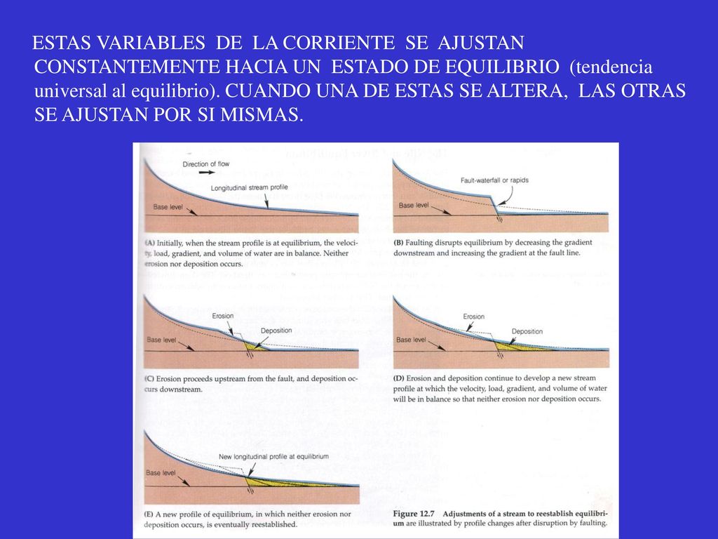 ESTAS VARIABLES DE LA CORRIENTE SE AJUSTAN CONSTANTEMENTE HACIA UN ESTADO DE EQUILIBRIO (tendencia universal al equilibrio).