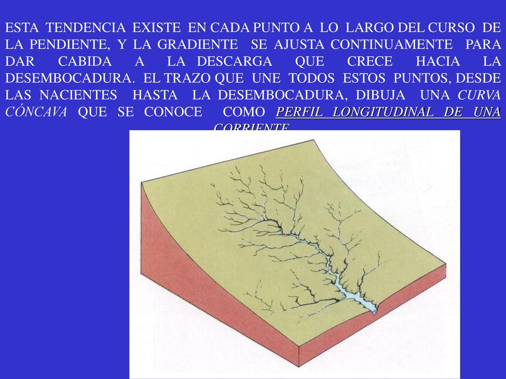 ESTA TENDENCIA EXISTE EN CADA PUNTO A LO LARGO DEL CURSO DE LA PENDIENTE, Y LA GRADIENTE SE AJUSTA CONTINUAMENTE PARA DAR CABIDA A LA DESCARGA QUE CRECE HACIA LA DESEMBOCADURA.