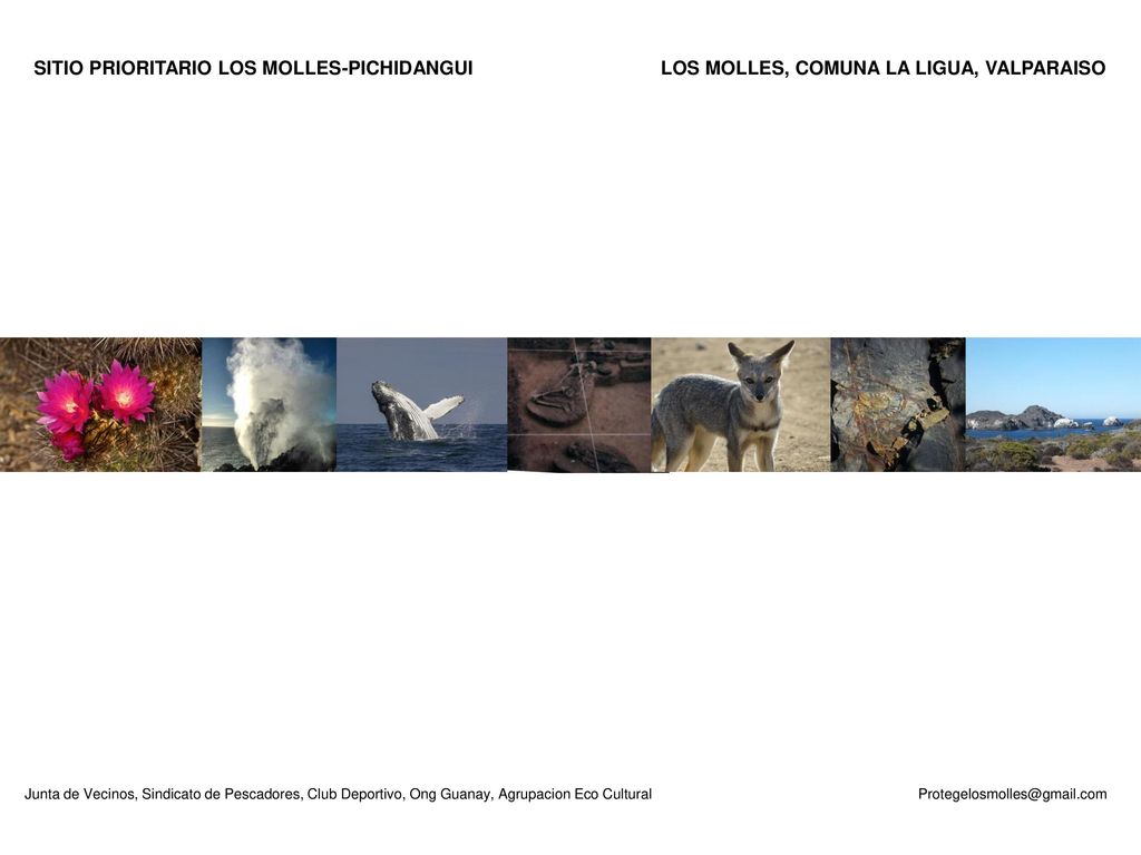 SITIO PRIORITARIO LOS MOLLES-PICHIDANGUI LOS MOLLES, COMUNA LA LIGUA, VALPARAISO