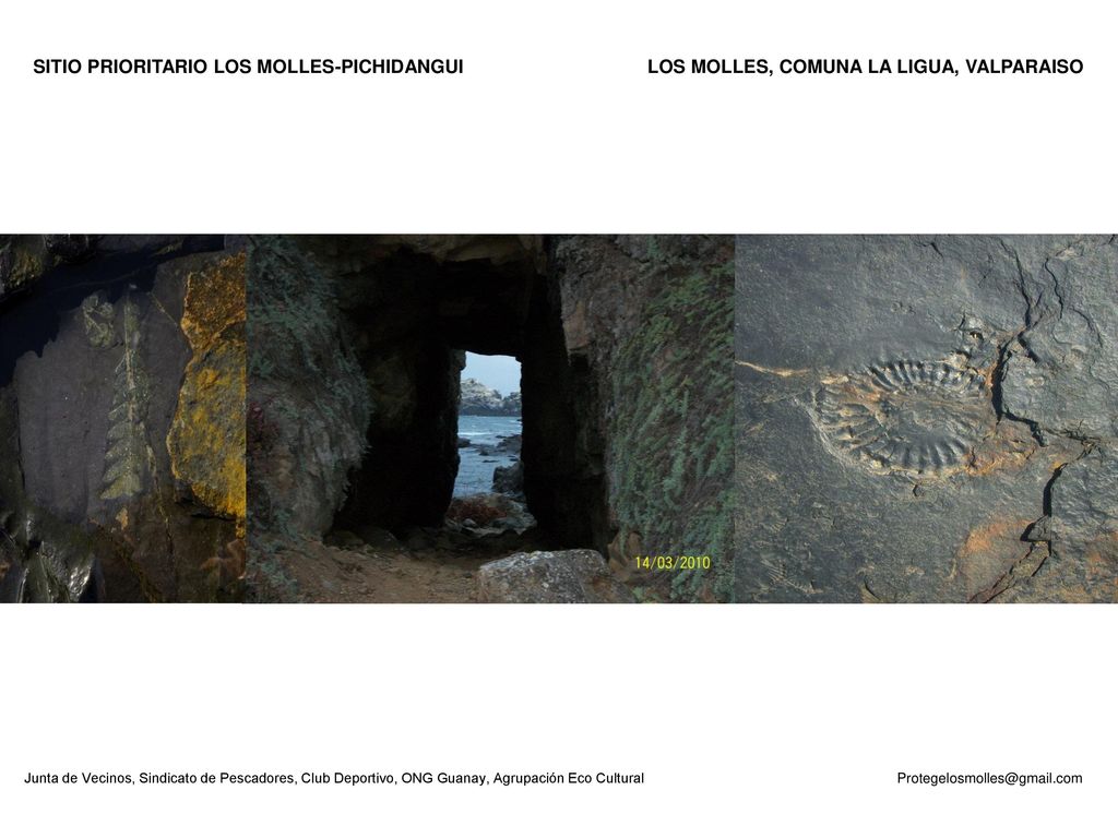 SITIO PRIORITARIO LOS MOLLES-PICHIDANGUI LOS MOLLES, COMUNA LA LIGUA, VALPARAISO