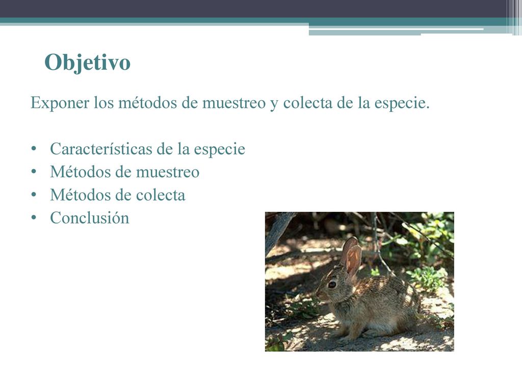 Objetivo Exponer los métodos de muestreo y colecta de la especie.