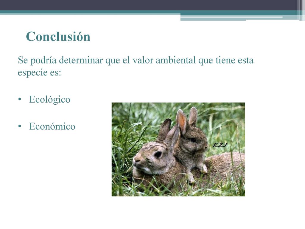 Conclusión Se podría determinar que el valor ambiental que tiene esta especie es: Ecológico.