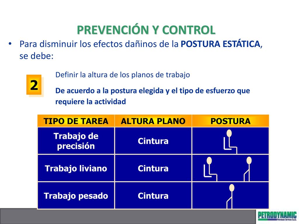 PREVENCIÓN Y CONTROL Para disminuir los efectos dañinos de la POSTURA ESTÁTICA, se debe: Definir la altura de los planos de trabajo.
