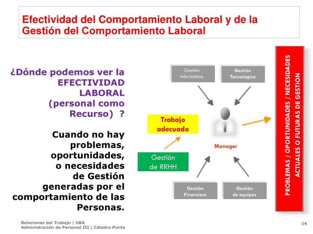 PROBLEMAS / OPORTUNIDADES / NECESIDADES ACTUALES O FUTURAS DE GESTION
