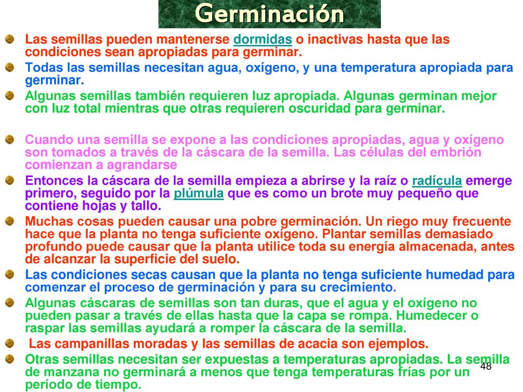 Germinación Las semillas pueden mantenerse dormidas o inactivas hasta que las condiciones sean apropiadas para germinar.