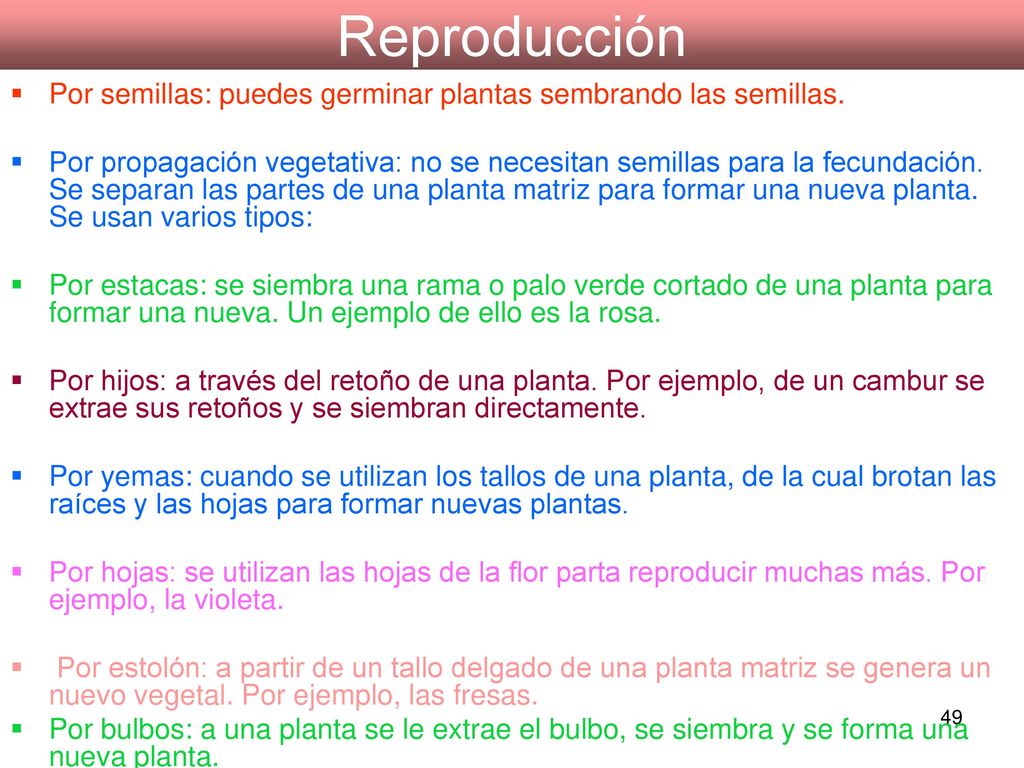 Reproducción Por semillas: puedes germinar plantas sembrando las semillas.
