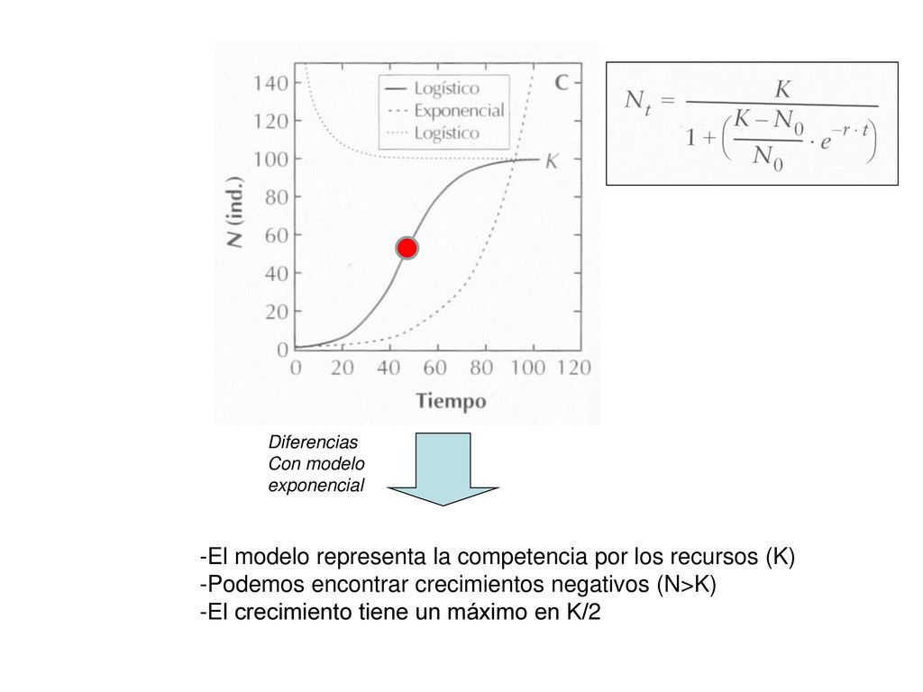 -El modelo representa la competencia por los recursos (K)