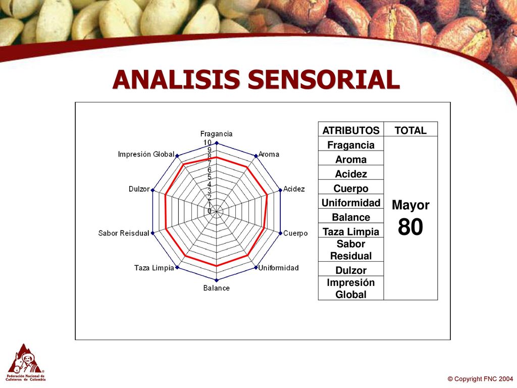 ANALISIS SENSORIAL 80 Mayor ATRIBUTOS TOTAL Fragancia Aroma Acidez