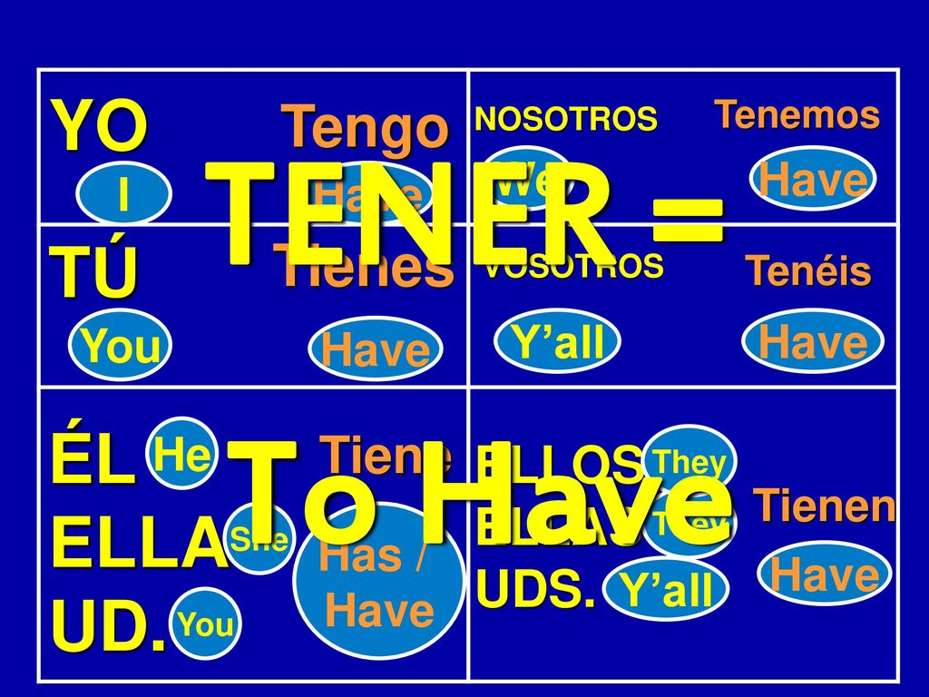 TENER = To Have YO TÚ ÉL ELLA UD. Tengo Tienes Tiene ELLOS ELLAS UDS.