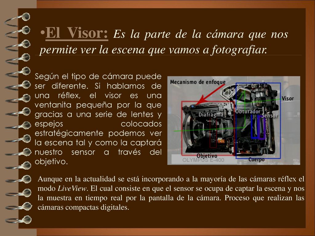 El Visor: Es la parte de la cámara que nos permite ver la escena que vamos a fotografiar.