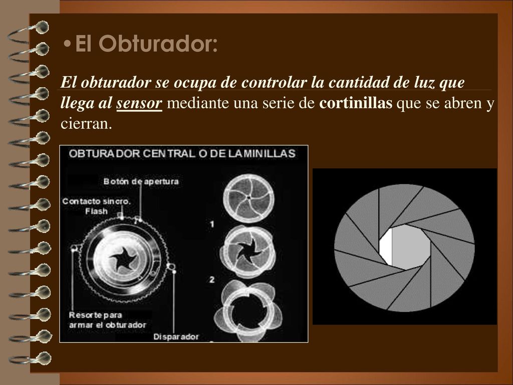 El Obturador: El obturador se ocupa de controlar la cantidad de luz que llega al sensor mediante una serie de cortinillas que se abren y cierran.