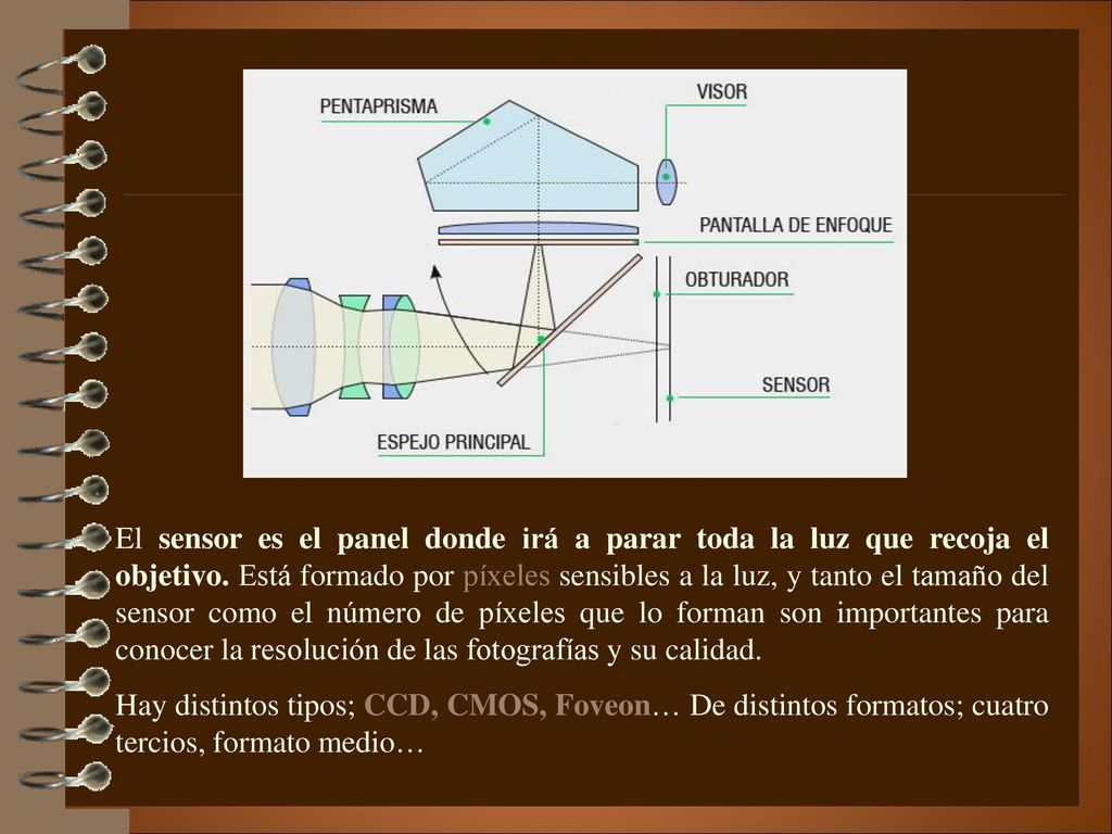 El sensor es el panel donde irá a parar toda la luz que recoja el objetivo. Está formado por píxeles sensibles a la luz, y tanto el tamaño del sensor como el número de píxeles que lo forman son importantes para conocer la resolución de las fotografías y su calidad.