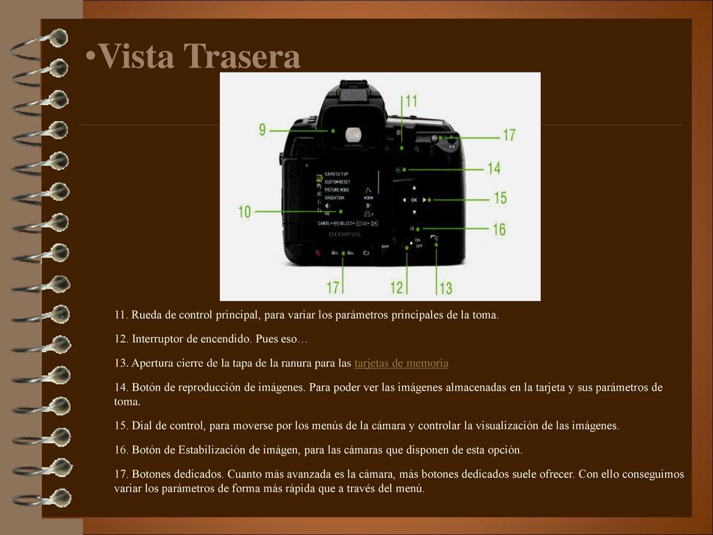 Vista Trasera 11. Rueda de control principal, para variar los parámetros principales de la toma. 12. Interruptor de encendido. Pues eso…
