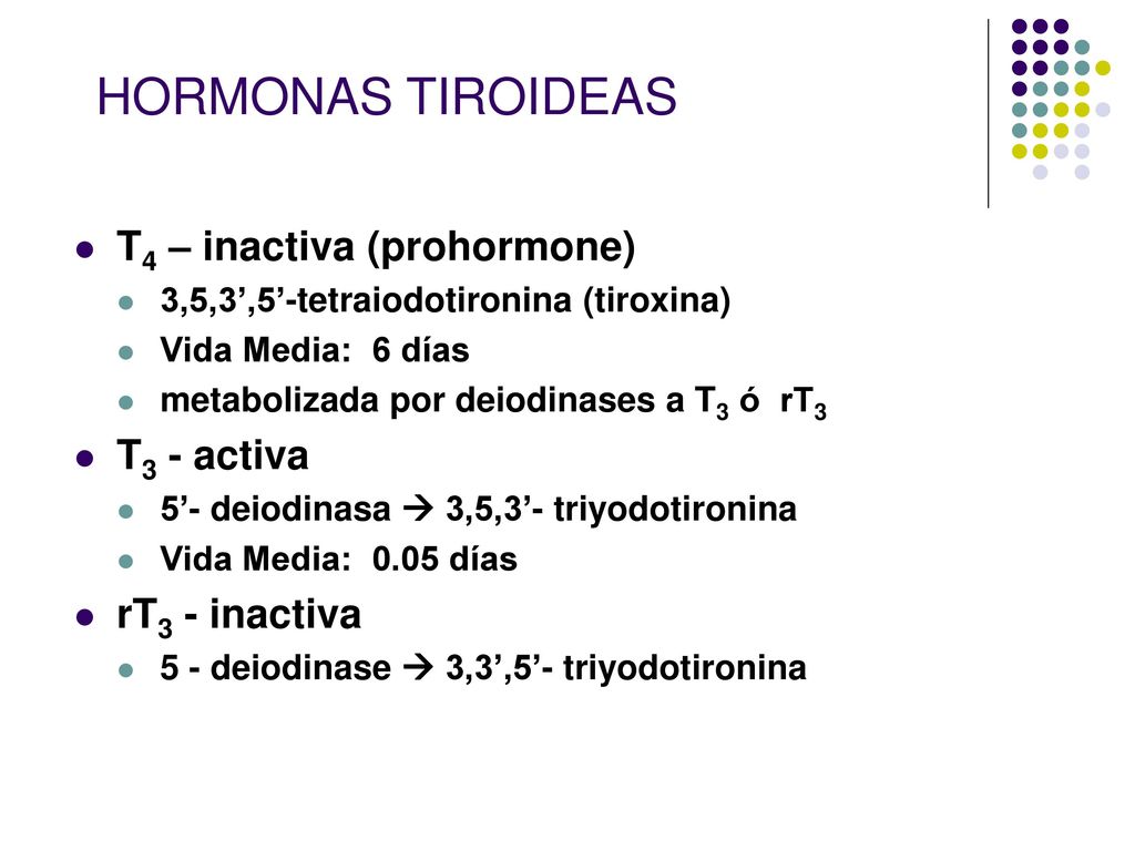 HORMONAS TIROIDEAS T4 – inactiva (prohormone) T3 - activa
