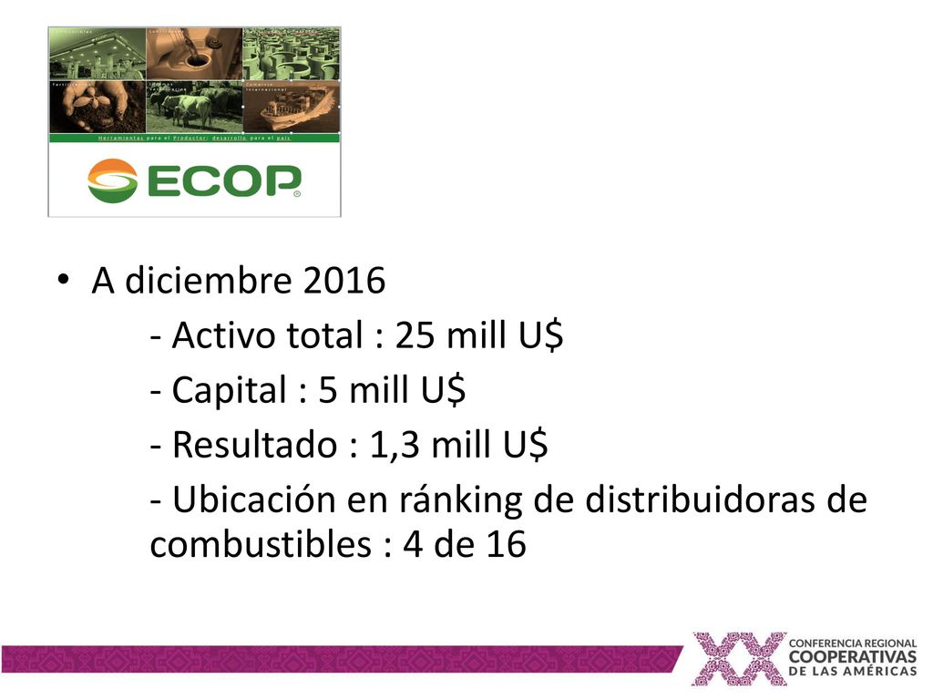 A diciembre Activo total : 25 mill U$ - Capital : 5 mill U$ - Resultado : 1,3 mill U$