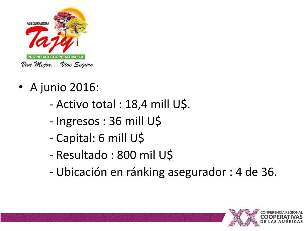 A junio 2016: - Activo total : 18,4 mill U$. - Ingresos : 36 mill U$ - Capital: 6 mill U$ - Resultado : 800 mil U$