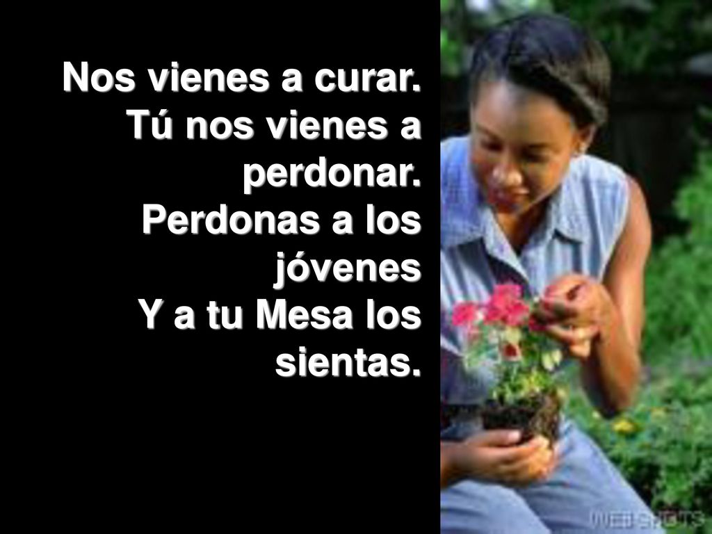 Nos vienes a curar. Tú nos vienes a perdonar. Perdonas a los jóvenes Y a tu Mesa los sientas.