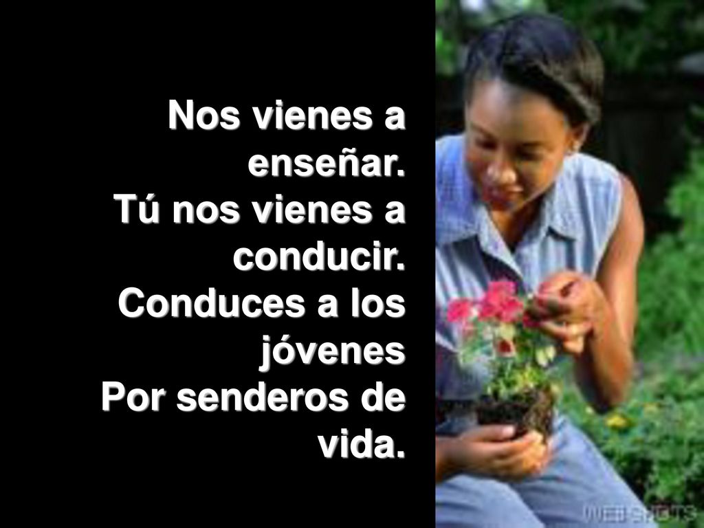 Nos vienes a enseñar. Tú nos vienes a conducir. Conduces a los jóvenes Por senderos de vida.