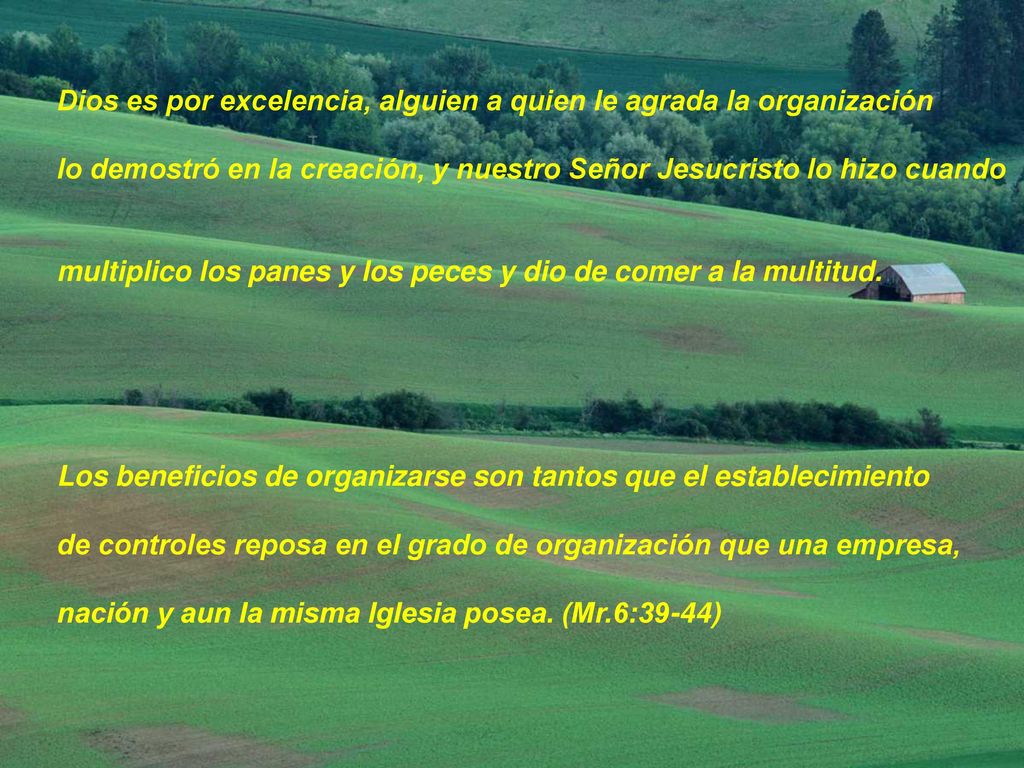 Dios es por excelencia, alguien a quien le agrada la organización