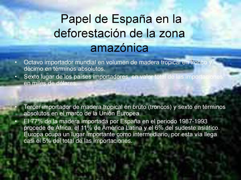 Papel de España en la deforestación de la zona amazónica