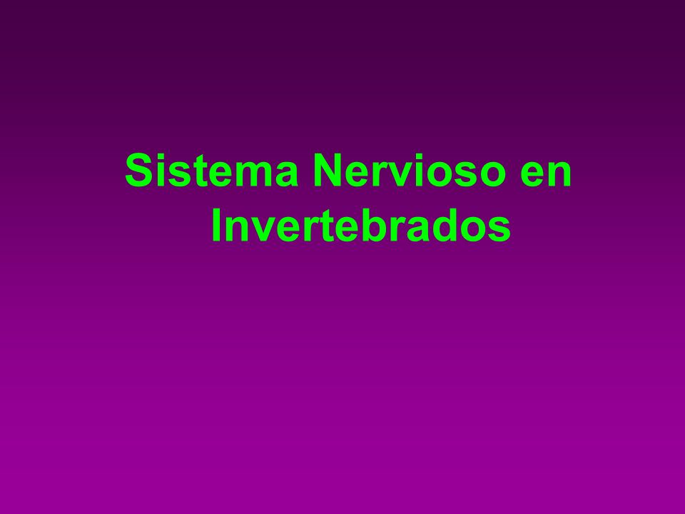 Sistema Nervioso en Invertebrados