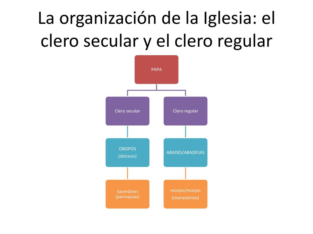 La organización de la Iglesia: el clero secular y el clero regular