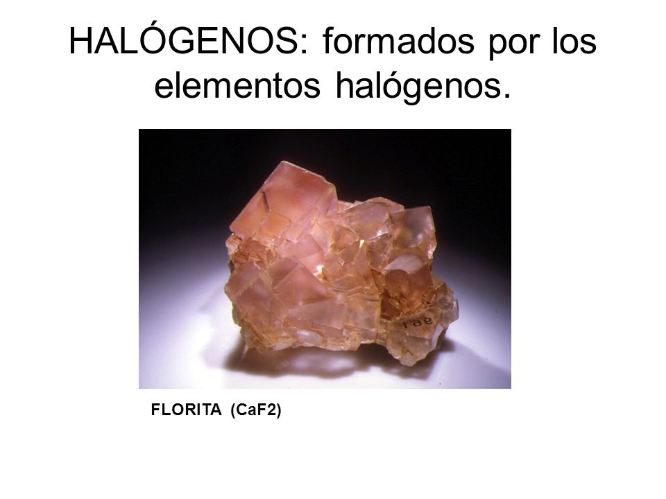 HALÓGENOS: formados por los elementos halógenos.
