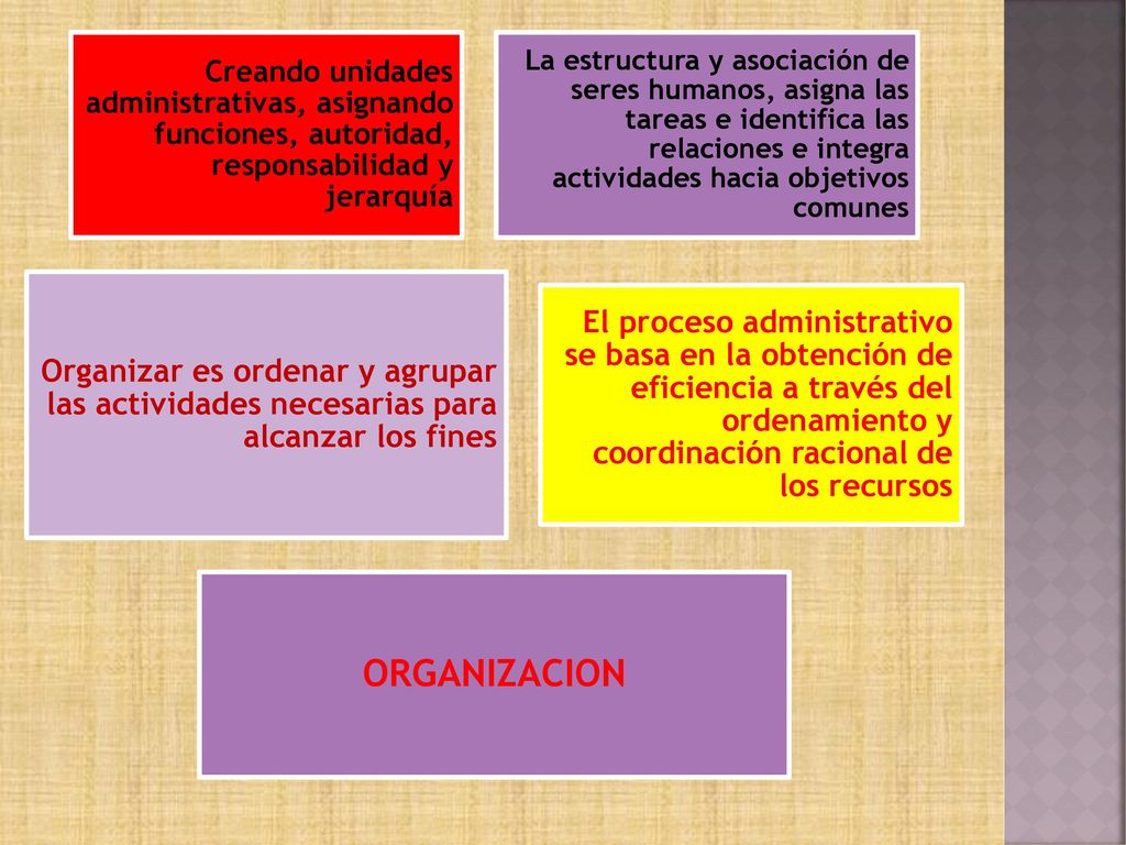 Creando unidades administrativas, asignando funciones, autoridad, responsabilidad y jerarquía