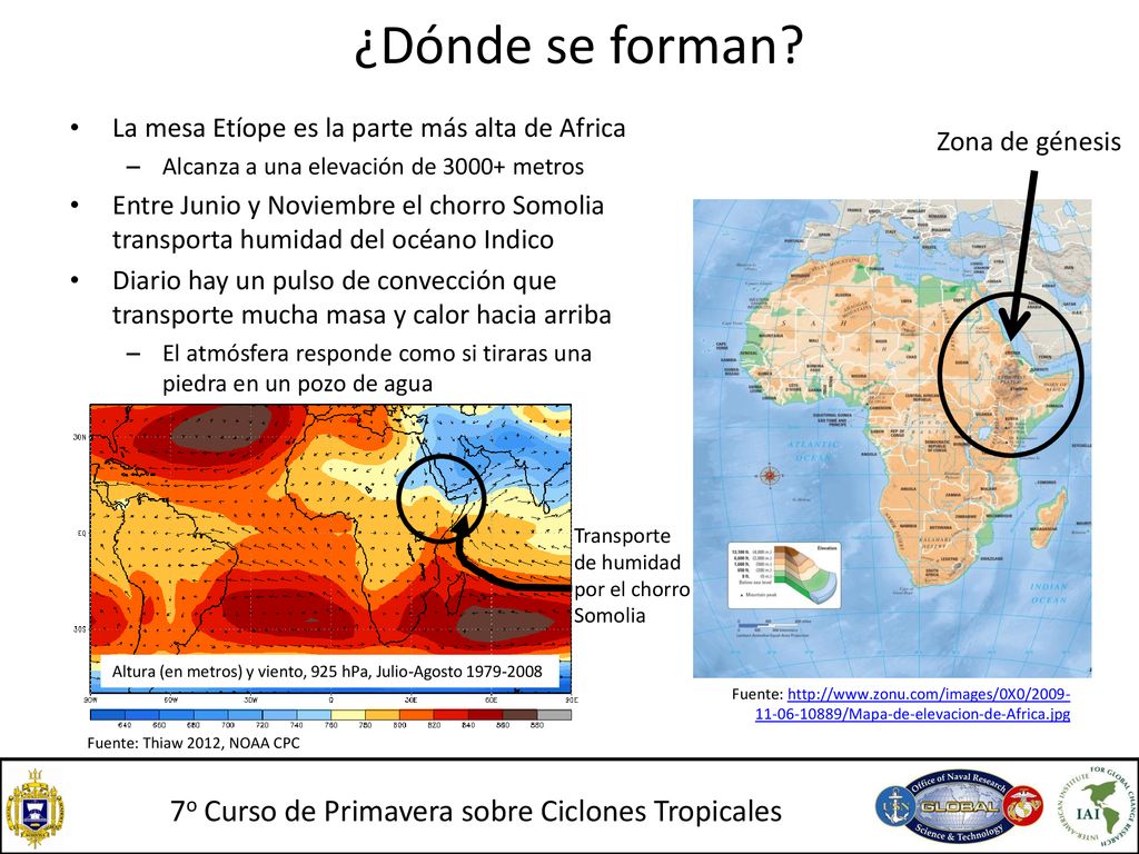 ¿Dónde se forman La mesa Etíope es la parte más alta de Africa