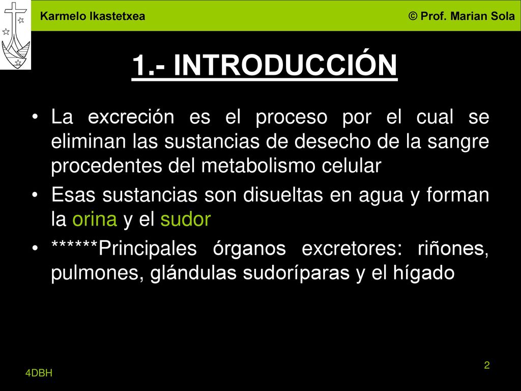 1.- INTRODUCCIÓN La excreción es el proceso por el cual se eliminan las sustancias de desecho de la sangre procedentes del metabolismo celular.