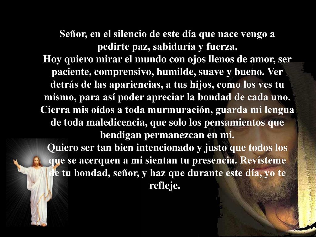 Señor, en el silencio de este día que nace vengo a