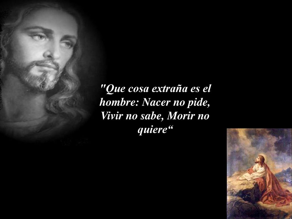 Que cosa extraña es el hombre: Nacer no pide, Vivir no sabe, Morir no quiere