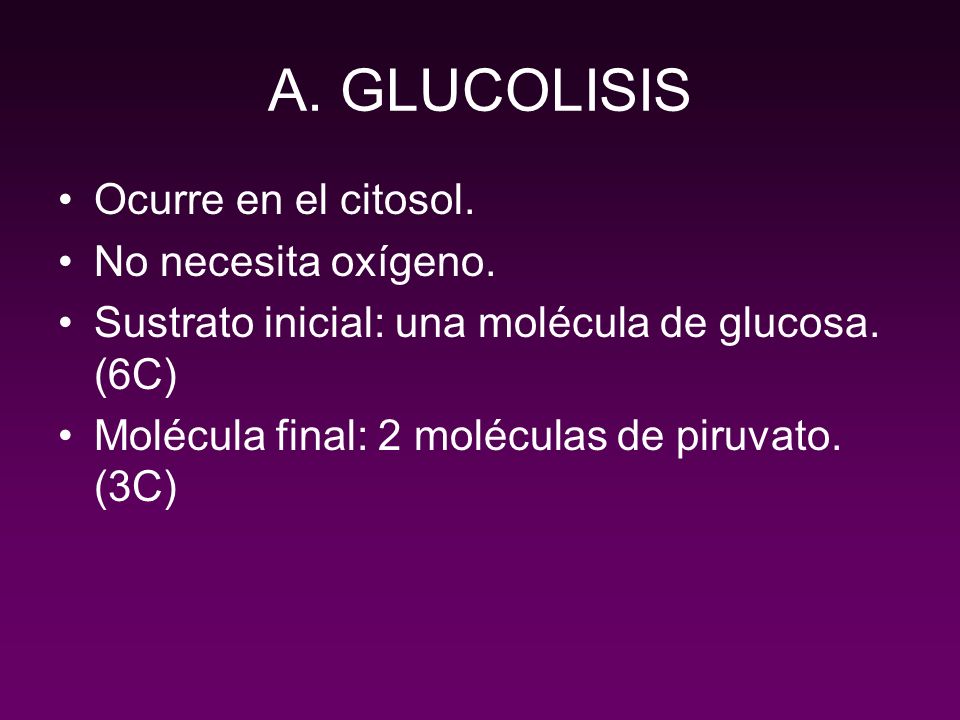 A. GLUCOLISIS Ocurre en el citosol. No necesita oxígeno.