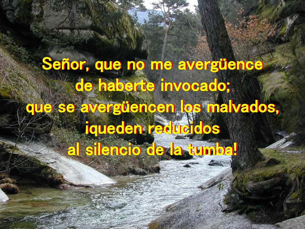Señor, que no me avergüence que se avergüencen los malvados,