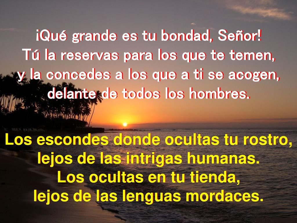 ¡Qué grande es tu bondad, Señor! Tú la reservas para los que te temen,