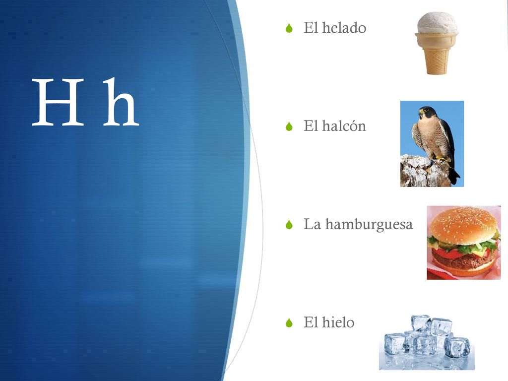 El helado El halcón La hamburguesa El hielo H h