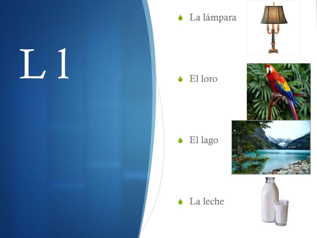 La lámpara El loro El lago La leche L l