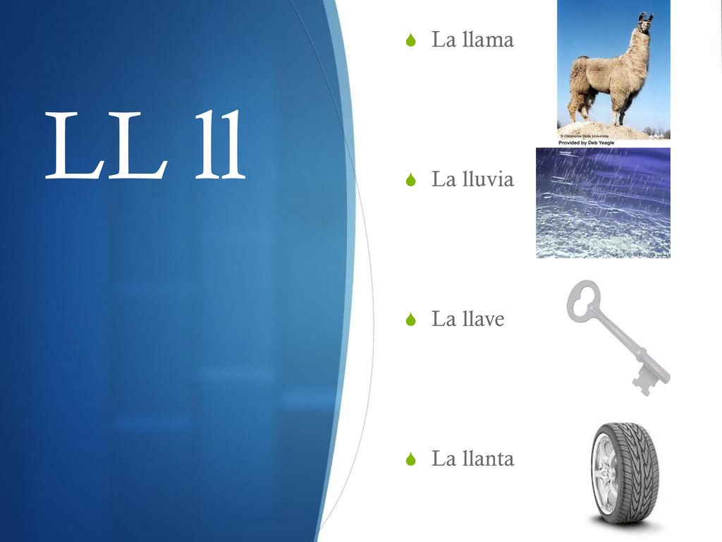 La llama La lluvia La llave La llanta LL ll
