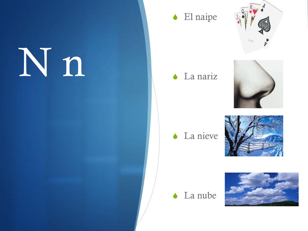 El naipe La nariz La nieve La nube N n