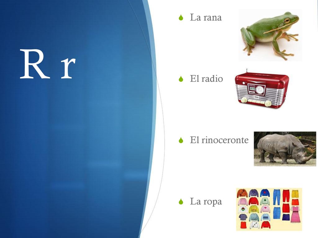 La rana El radio El rinoceronte La ropa R r