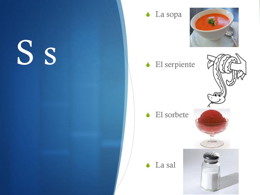 La sopa El serpiente El sorbete La sal S s