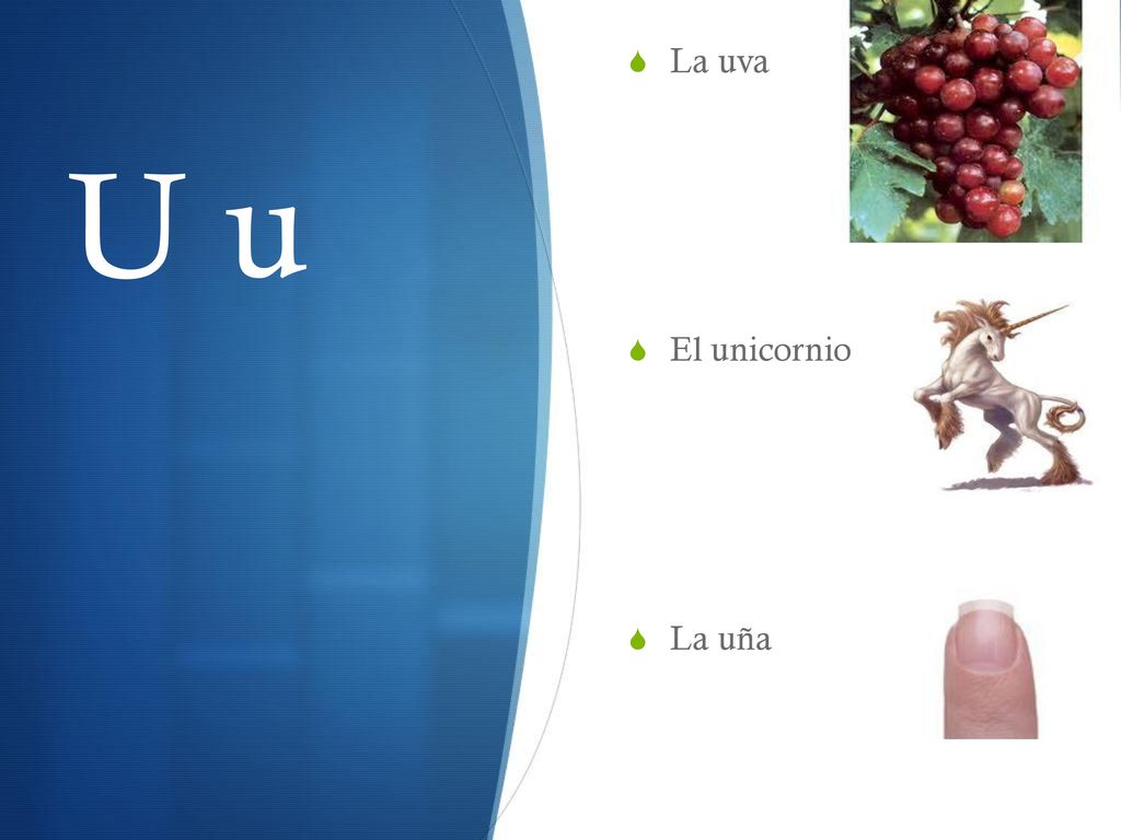 La uva El unicornio La uña U u