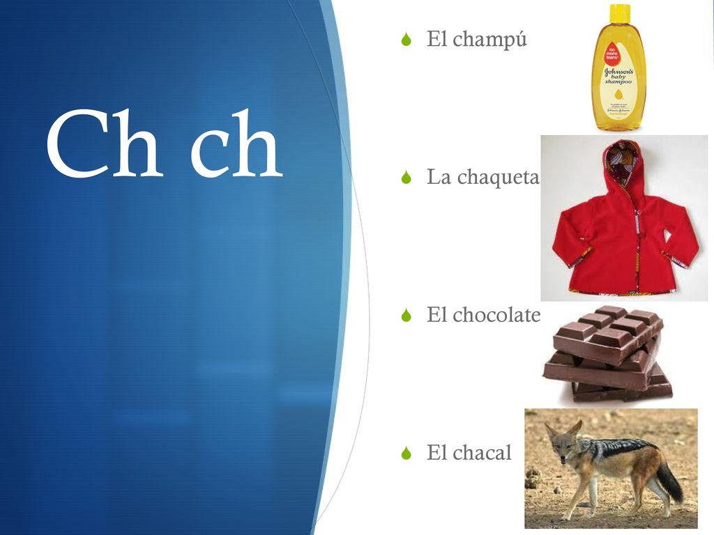 El champú La chaqueta El chocolate El chacal Ch ch