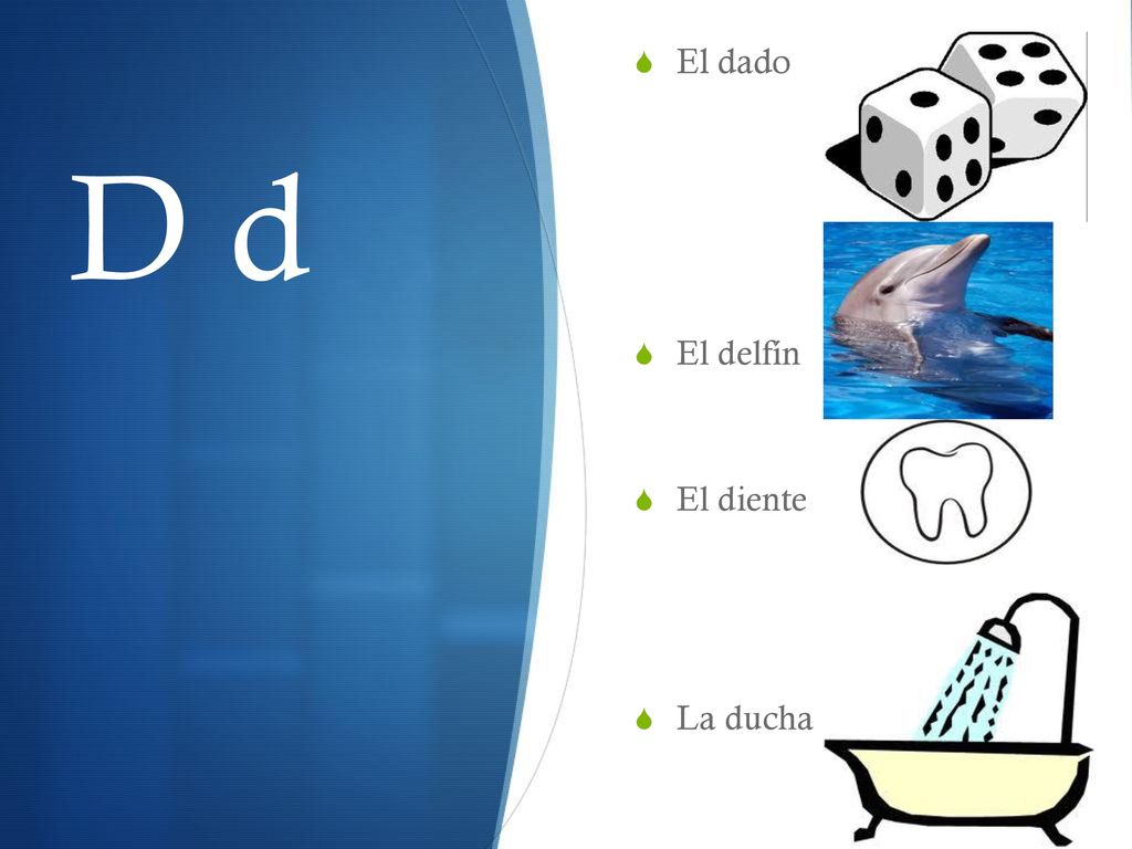 El dado El delfín El diente La ducha D d